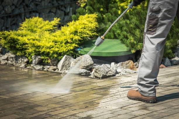 Best Dumpster Area Cleaning  in Southwest Ranches, FL