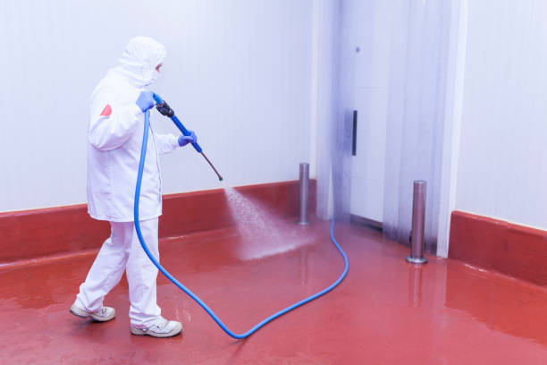 Best Building Exterior Washing  in Southwest Ranches, FL